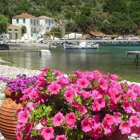 Aristotelis 2*