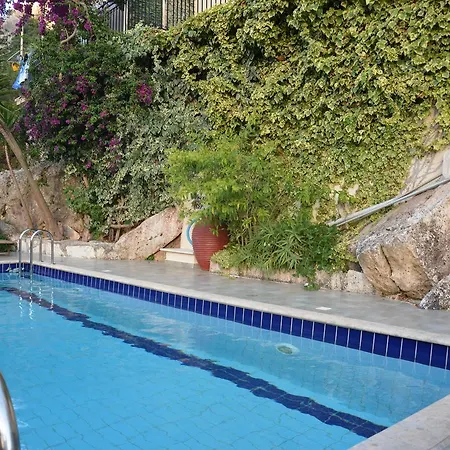 Aristotelis 4* Frikes